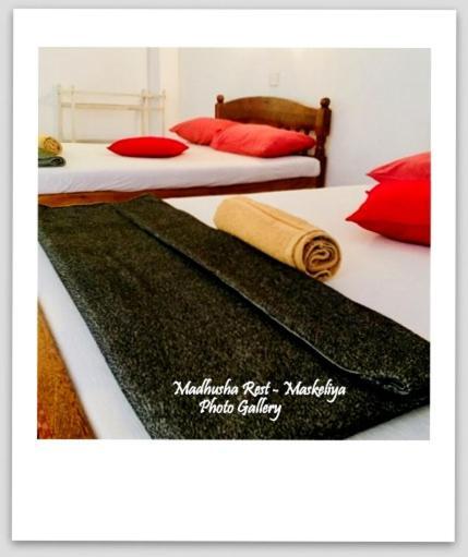 ホテル Madhusha Rest Maskeliya エクステリア 写真