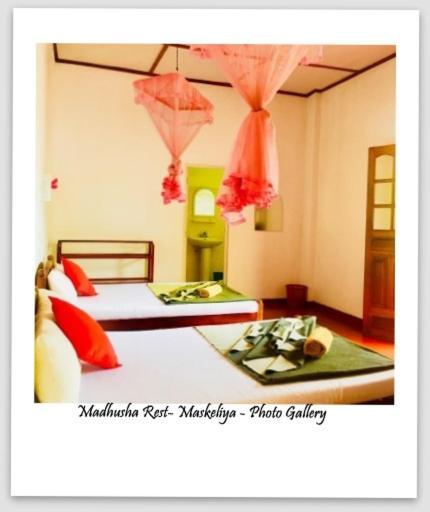 ホテル Madhusha Rest Maskeliya エクステリア 写真